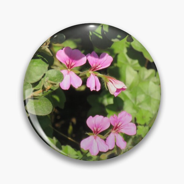 Item preview, Ivy leaf pelargonium designed and sold by greentiger1.