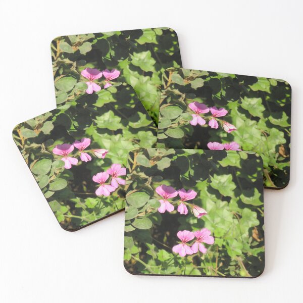 Item preview, Ivy leaf pelargonium designed and sold by greentiger1.