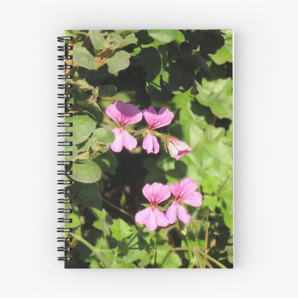 Item preview, Ivy leaf pelargonium designed and sold by greentiger1.