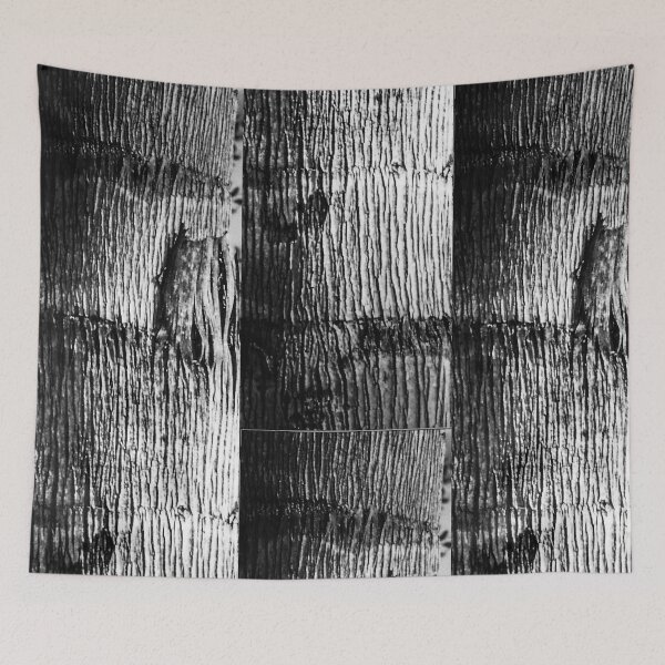 Item preview, Palm Tree Trunk designed and sold by Designs By YL.