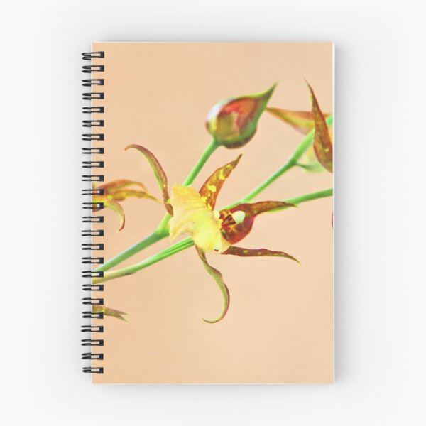 Item preview, Orchid Stalk designed and sold by Jane Girardot.