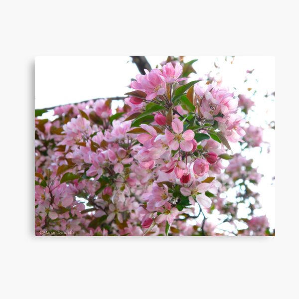 Item preview, Budding designed and sold by MarianBendeth.