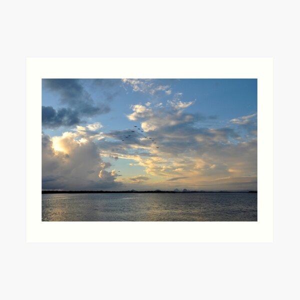In Flight - Pumicestone Passage Art Print