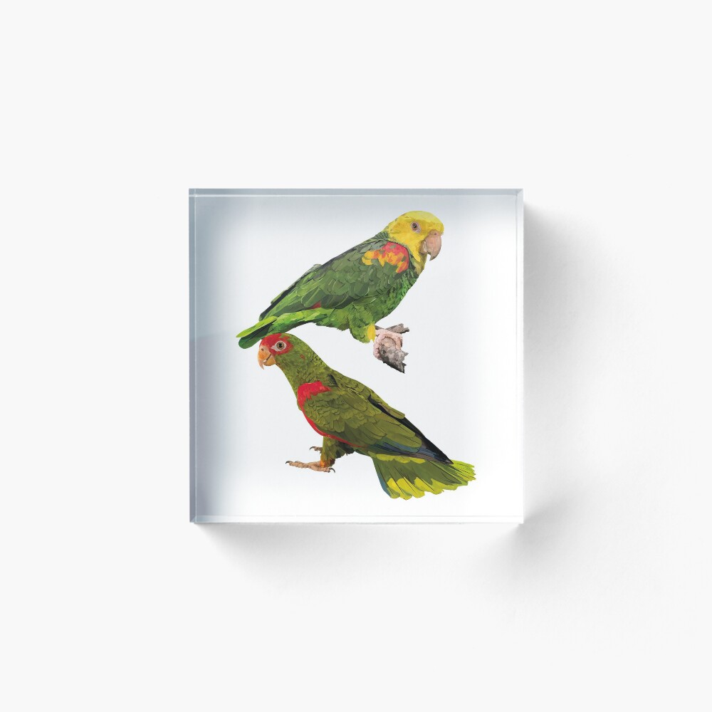 Item preview, Acrylic Block designed and sold by obscurite.