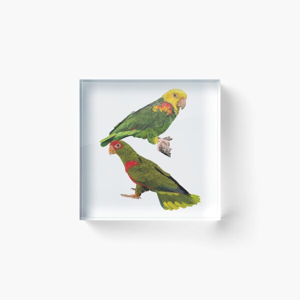 Item preview, Parrots designed and sold by obscurite.