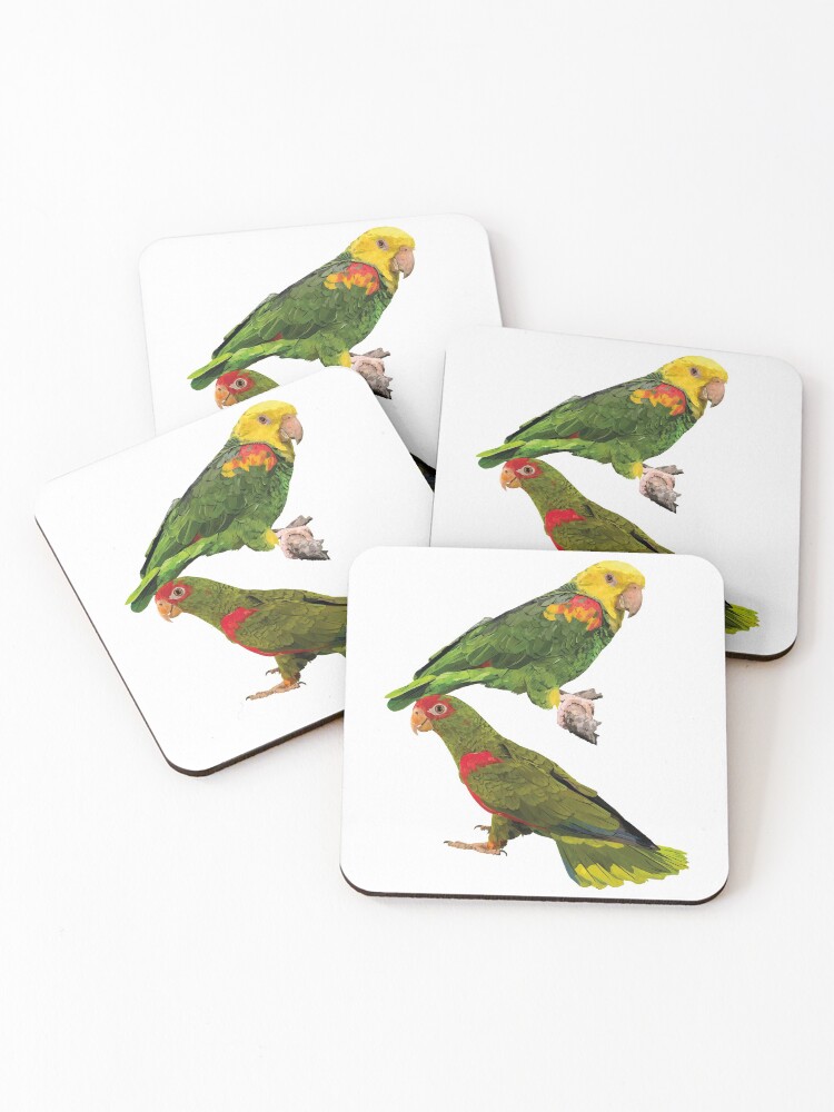 Thumbnail 1 of 5, Coasters (Set of 4), Parrots designed and sold by obscurite.