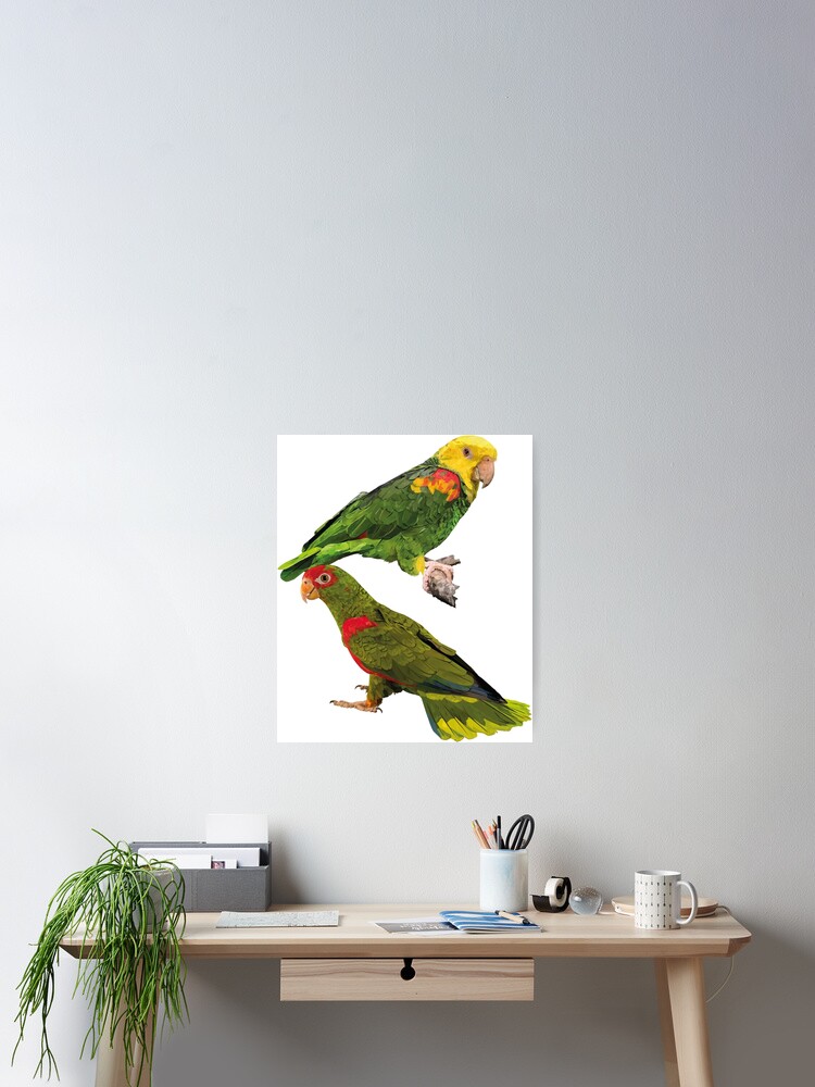 Thumbnail 2 of 3, Poster, Parrots designed and sold by obscurite.