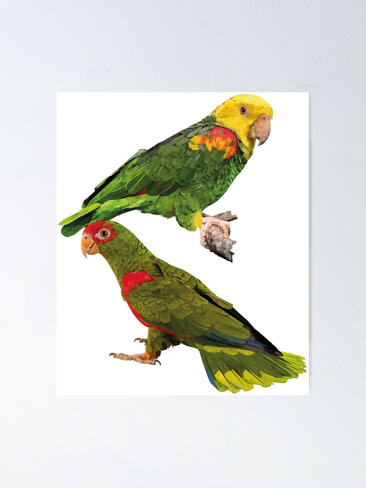 Thumbnail 1 of 3, Poster, Parrots designed and sold by obscurite.