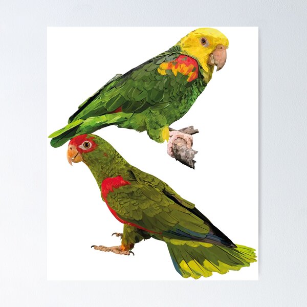 Item preview, Parrots designed and sold by obscurite.