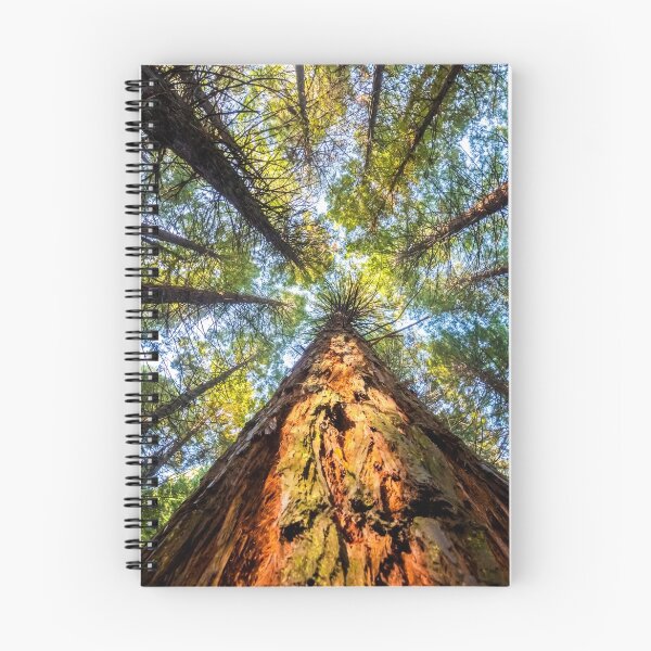 Item preview, Redwood Heaven Reach designed and sold by SeeOneSoul.