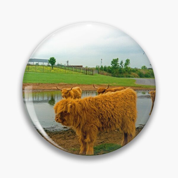 Item preview, Hielan Coo Fold designed and sold by tomg.