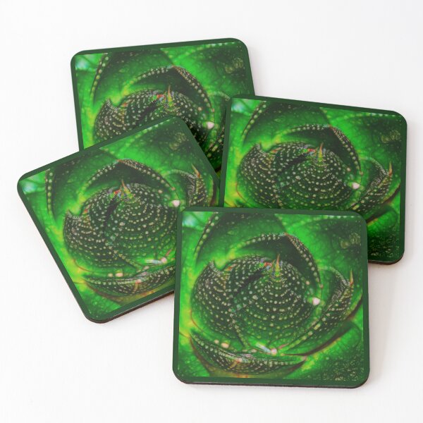 Item preview, cactus – kaktus ¦  designed and sold by nature. electrified..