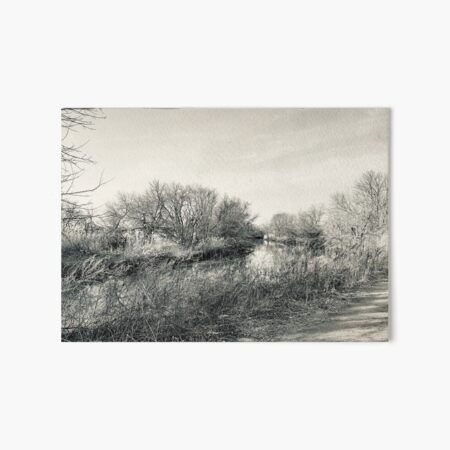 Wildlife and Landscape Art Board Print
