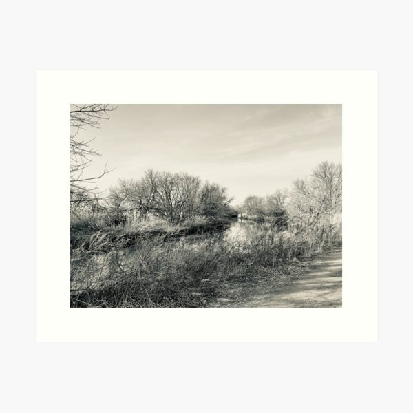 Wildlife and Landscape Art Print