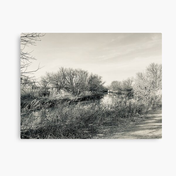 Wildlife and Landscape Canvas Print