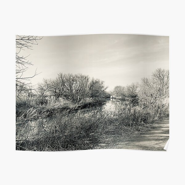 Wildlife and Landscape Poster