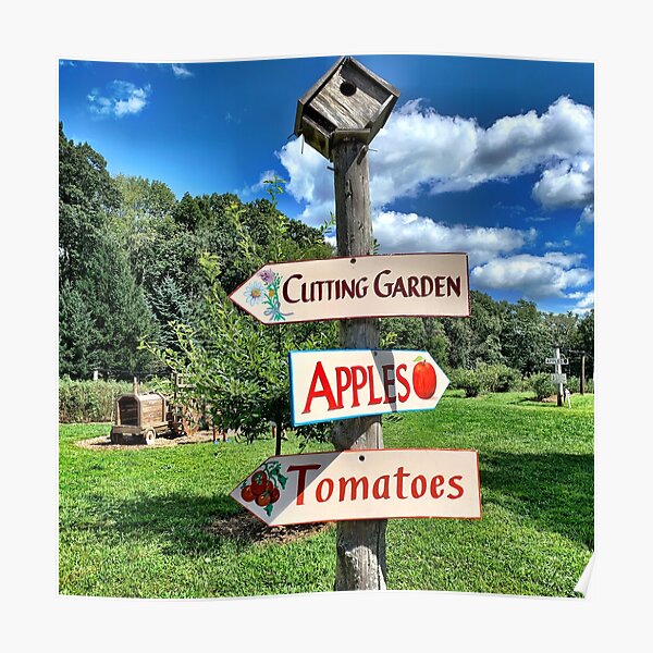 A Day at the Orchard Poster