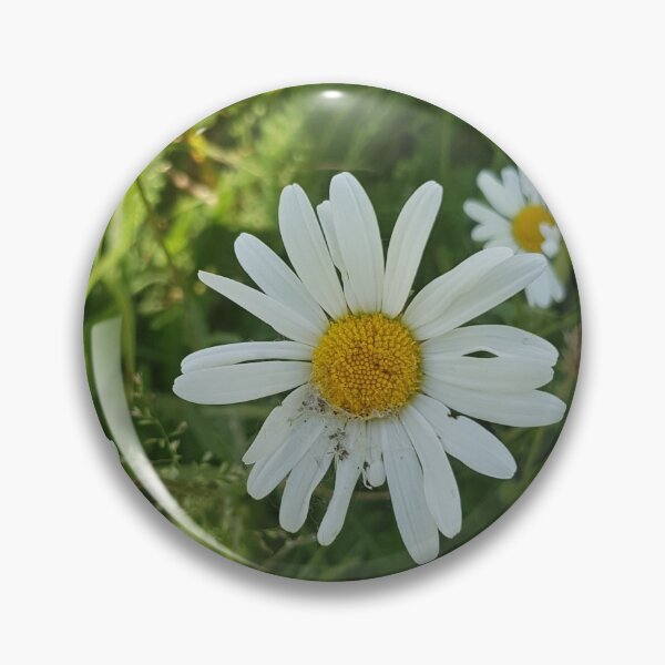 Item preview, Photo Daisy designed and sold by ScarletPanda.