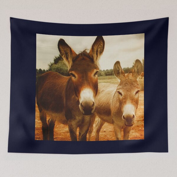 Item preview, I am Coconuts about You! designed and sold by 7AJA.