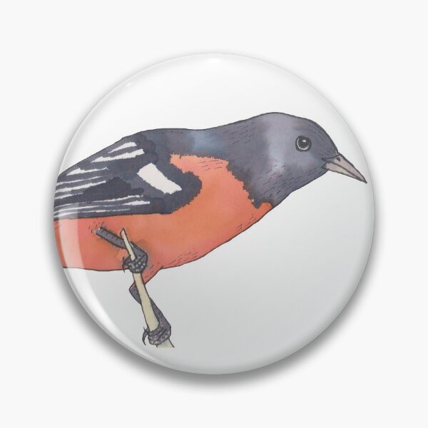 Artikelvorschau, Baltimore Oriole Aquarell Vogel Kunst entworfen und verkauft von TheWaterBirds.