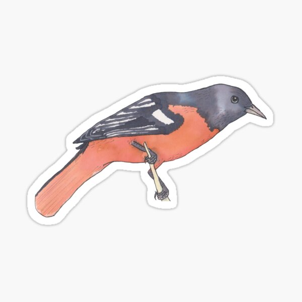 Item preview, Baltimore Oriole Watercolor Bird Art designed and sold by TheWaterBirds.