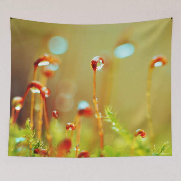 Item preview, Autumn Moss designed and sold by JoaoAlmeidaShop.