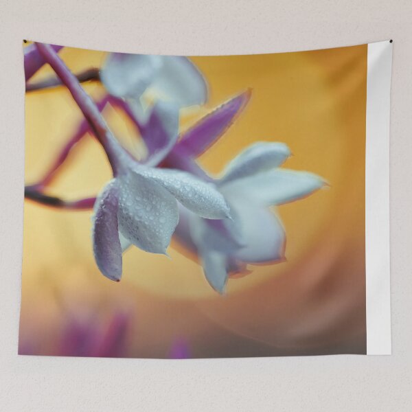 Item preview, Evening Lights designed and sold by JoaoAlmeidaShop.