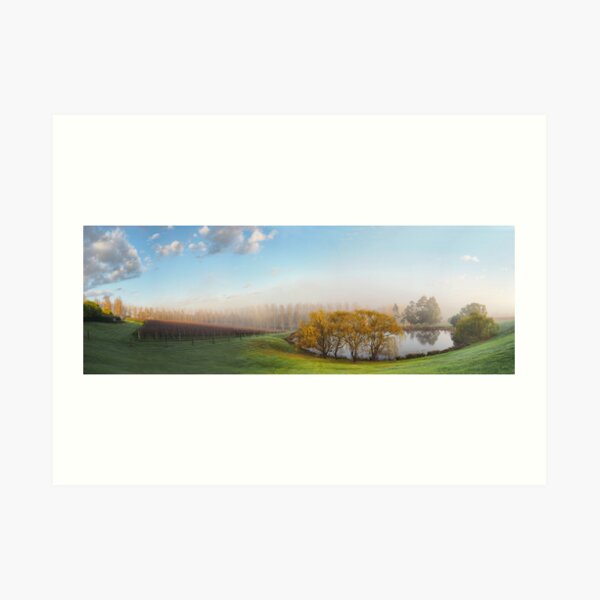 Early Morning at Tarrawarra Art Print
