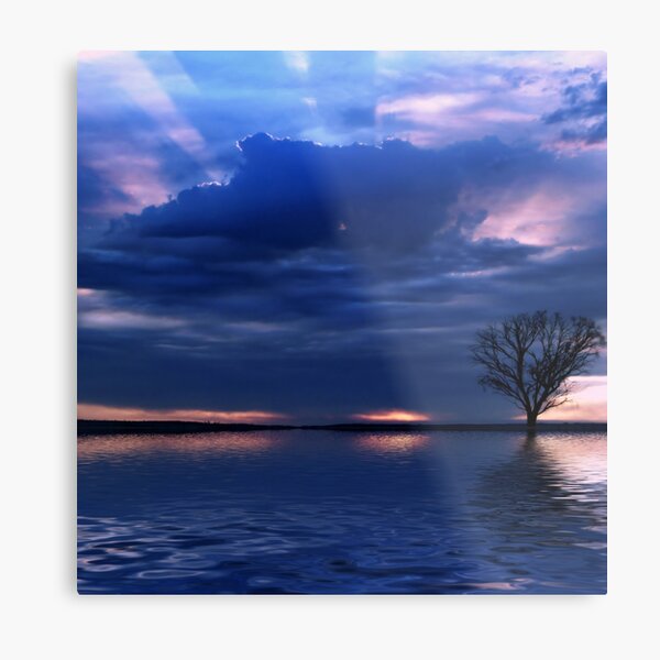 Teardrop Metal Print