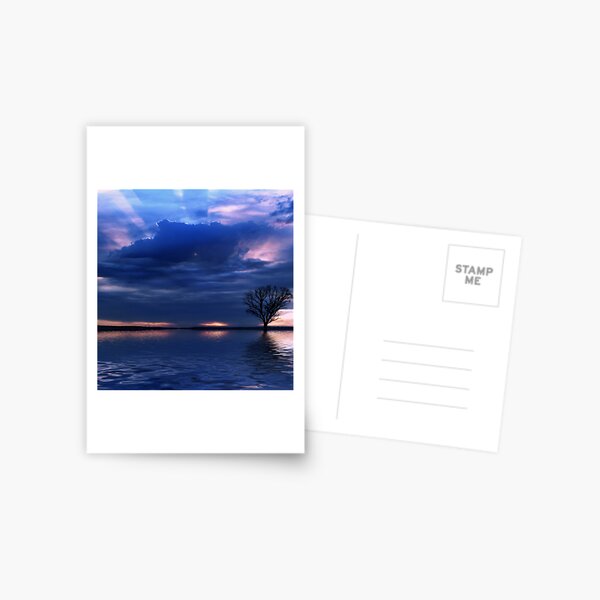 Teardrop Postcard