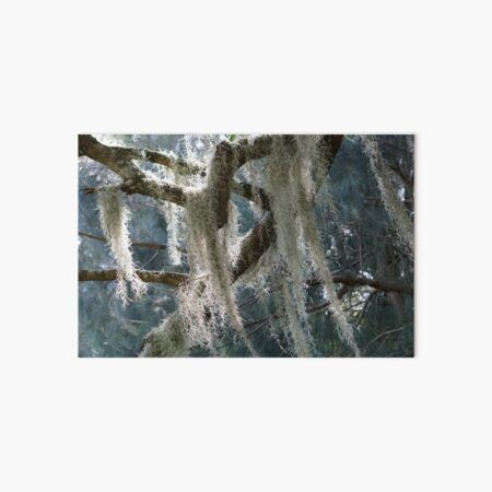 Item preview, spanish moss designed and sold by distracted.