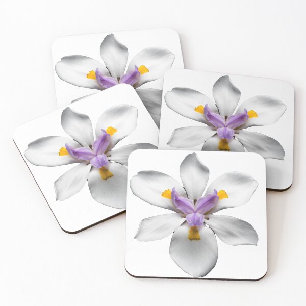 Item preview, white orchid designed and sold by celestial-lobby.