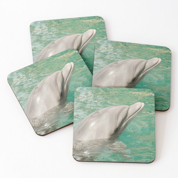 Item preview, Dolphin swimming with divers in the Red Sea, Eilat Israel designed and sold by yeshayad.