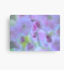Blossoms Canvas Print