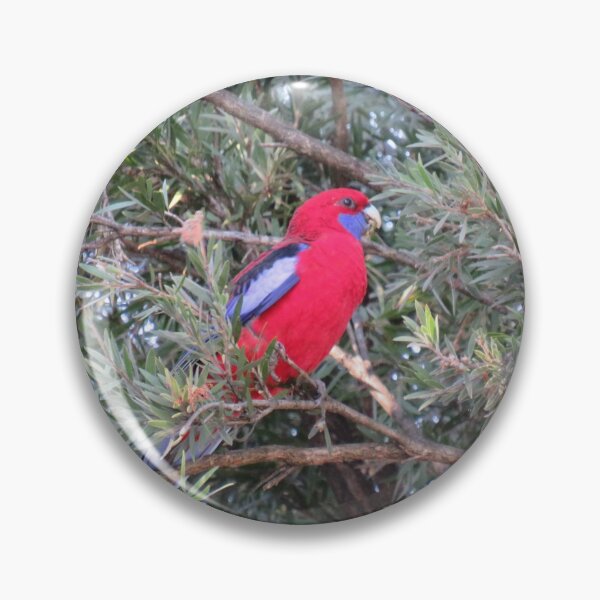 Item preview, Crimson rosella designed and sold by greentiger1.