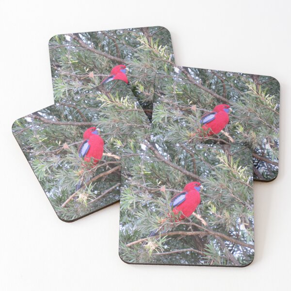 Item preview, Crimson rosella designed and sold by greentiger1.