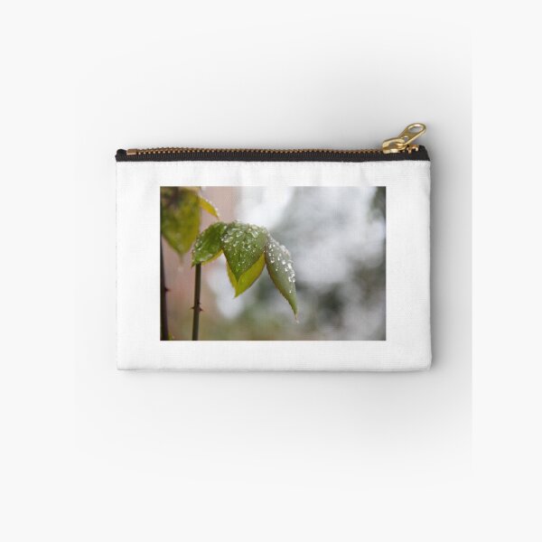 Item preview, Raindrops on leaves designed and sold by ashpaul97.