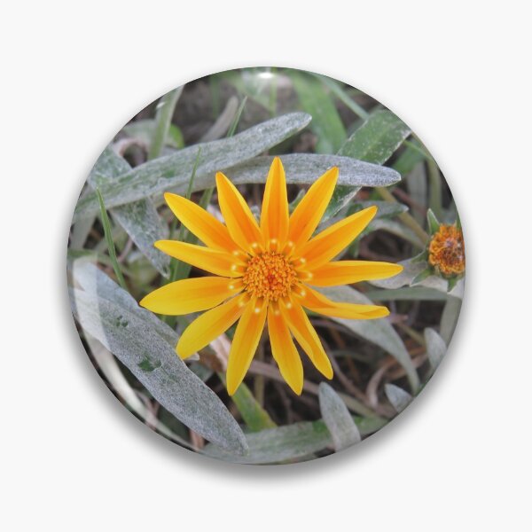 Item preview, Orange gazania designed and sold by greentiger1.
