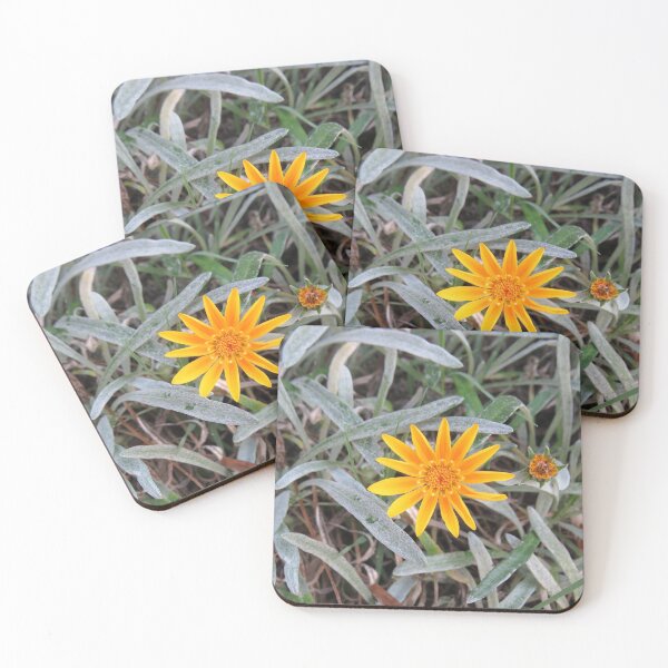 Item preview, Orange gazania designed and sold by greentiger1.