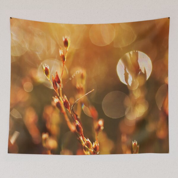Item preview, Sun's Dance designed and sold by JoaoAlmeidaShop.
