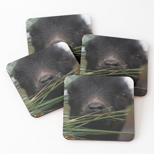 Item preview, Goat With Pine designed and sold by StampCity.
