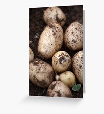 potatoes Greeting Card