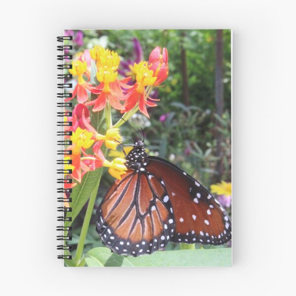 Item preview, Butterfly on flower designed and sold by beerman70.