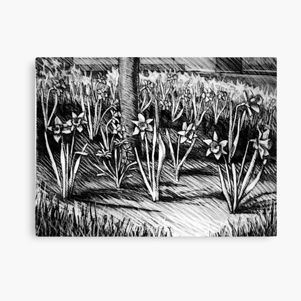 The Dafs of spring at Elmira College. Canvas Print