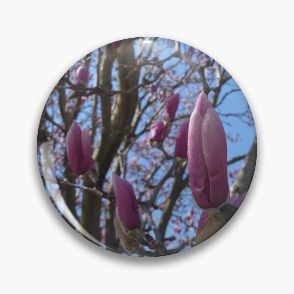 Item preview, Bud on a Magnolia Liliiflora designed and sold by Mothe3rd.