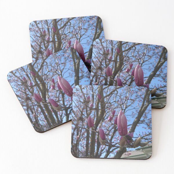 Item preview, Bud on a Magnolia Liliiflora designed and sold by Mothe3rd.