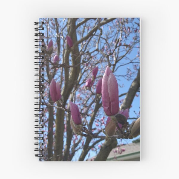 Item preview, Bud on a Magnolia Liliiflora designed and sold by Mothe3rd.