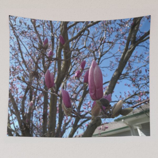 Item preview, Bud on a Magnolia Liliiflora designed and sold by Mothe3rd.