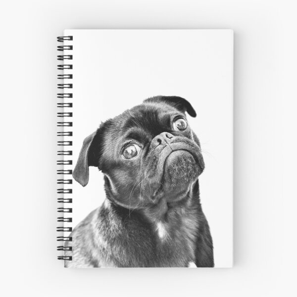 Item preview, Puglife designed and sold by phillymag.