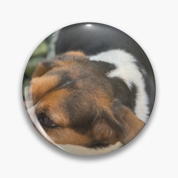 Item preview, Dexter el beagle designed and sold by AlkalineAss.